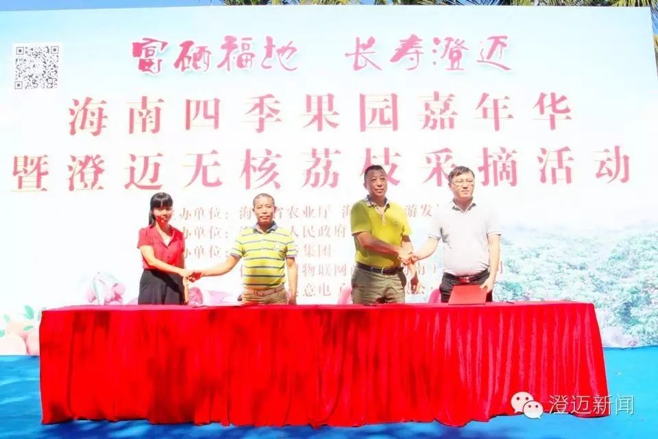 澄迈富硒地瓜多少钱一斤