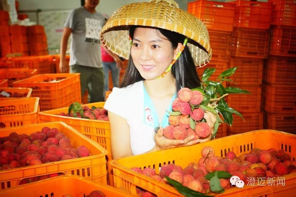澄迈富硒地瓜多少钱一斤