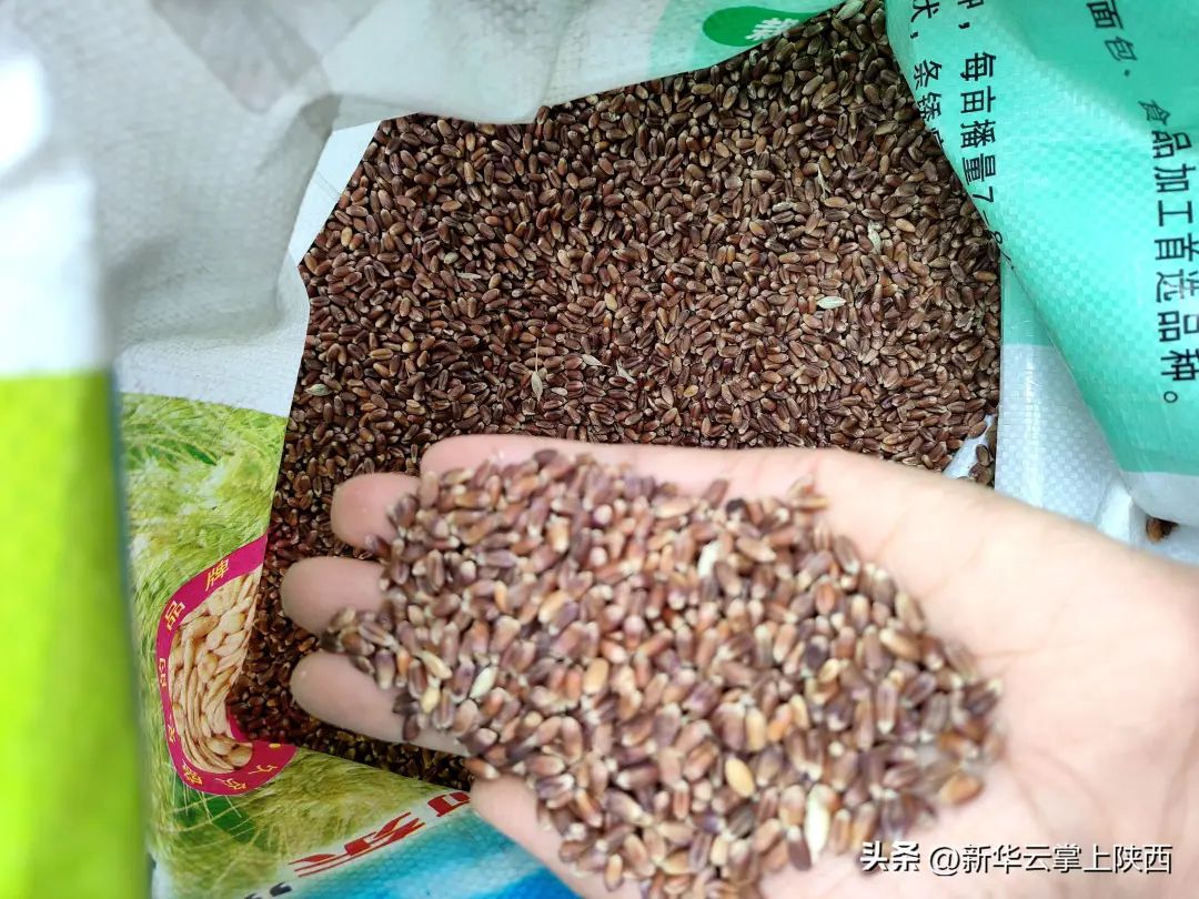 富硒黑小麦面粉营养价值