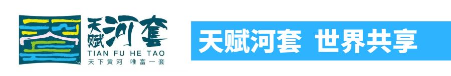 富硒面粉哪个品牌好一点