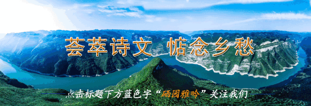 富硒蔬菜项目介绍怎么写