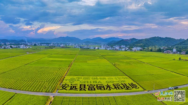 赣州市富硒蔬菜基地地址