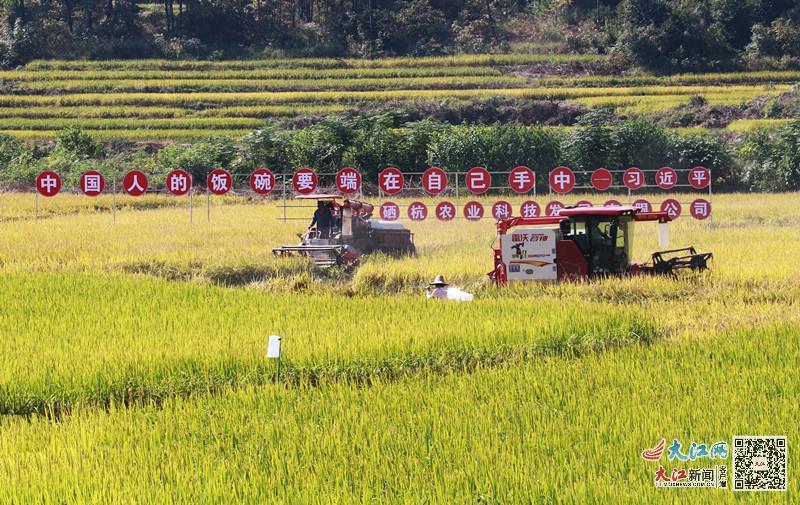 赣州市富硒蔬菜基地地址