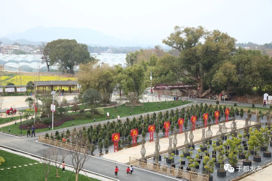 富硒蔬菜市场前景怎么样