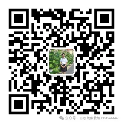 富硒水果的价格策略研究