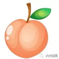 水果增加富硒元素的肥料
