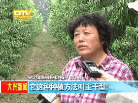 水果增加富硒元素的肥料