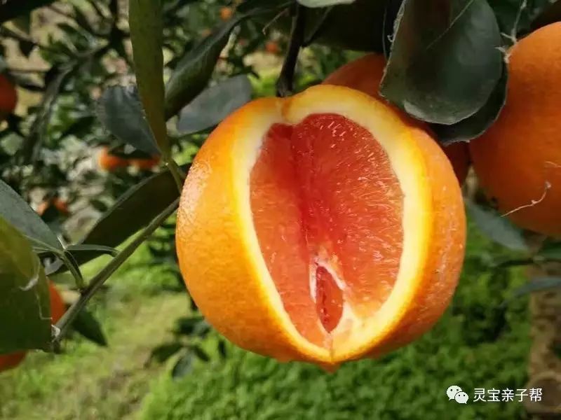 含有富硒的水果推荐美白
