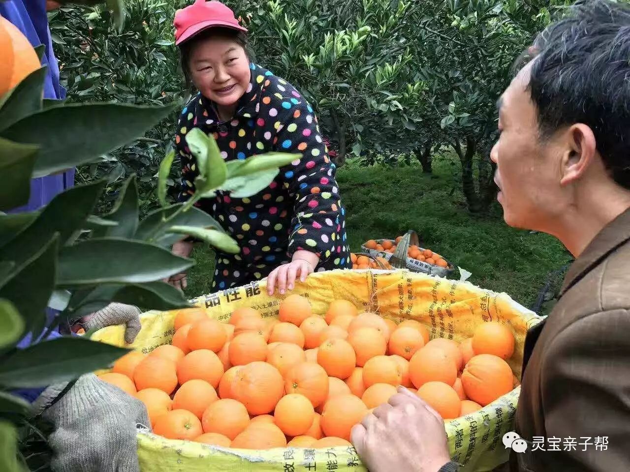 含有富硒的水果推荐美白