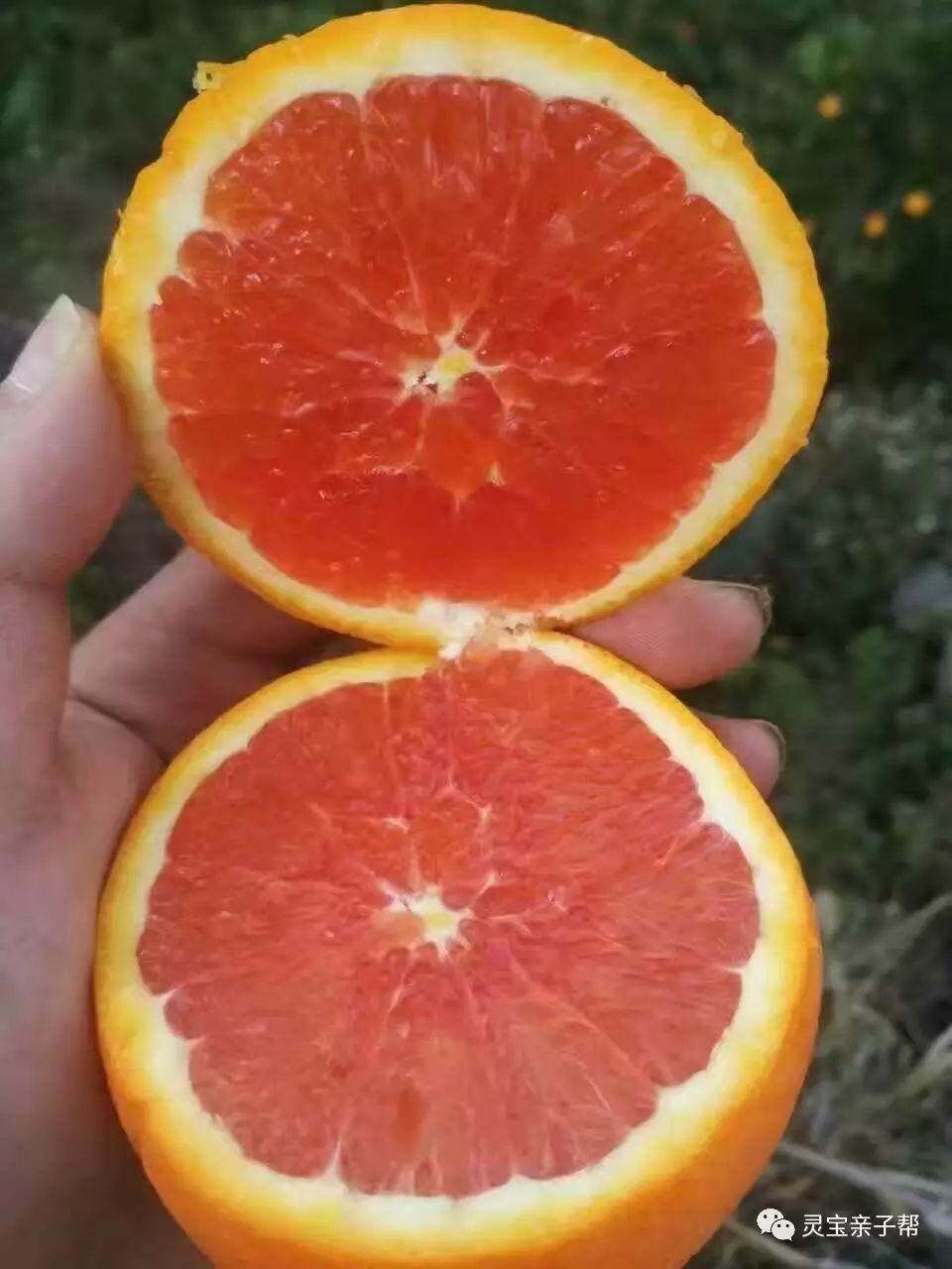 含有富硒的水果推荐美白