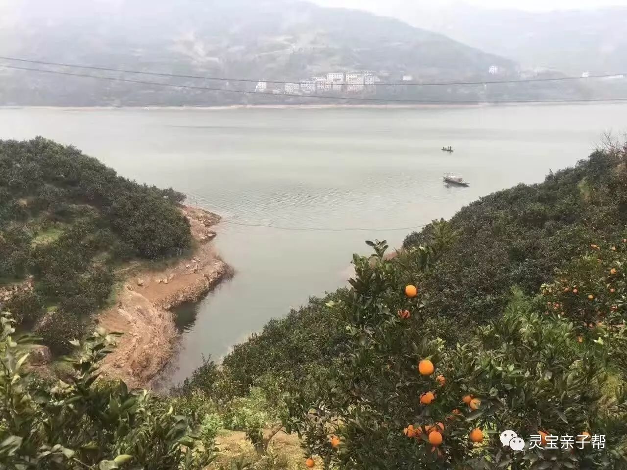 含有富硒的水果推荐美白