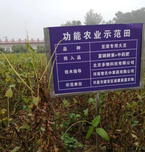 咋样能种植含富硒的水果
