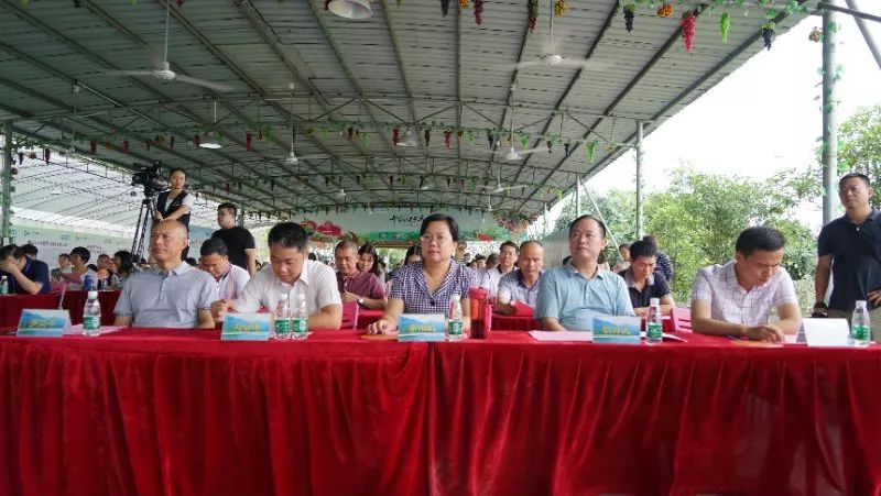 水果富硒含量标准是多少