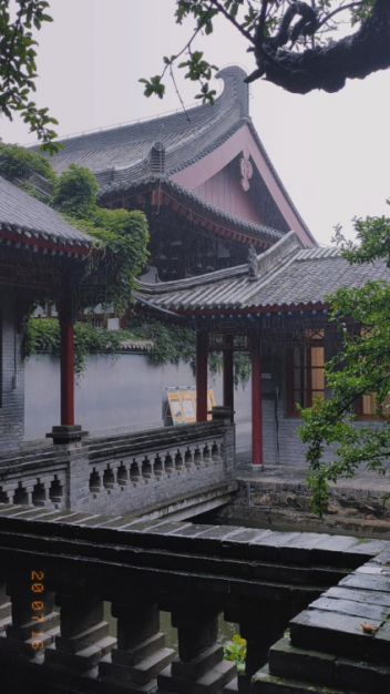 哪些水果是富硒果子类型