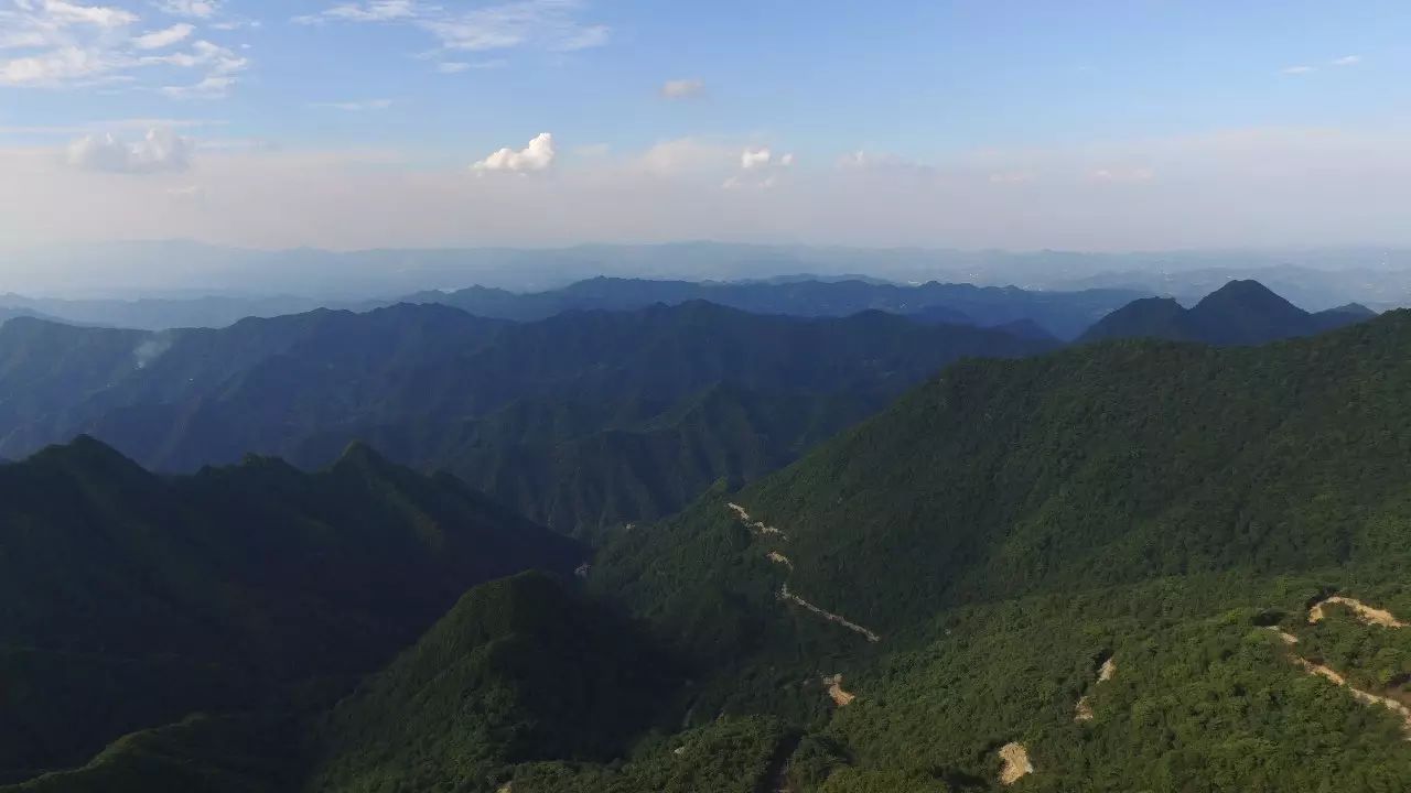 啥水果是富硒果子的味道