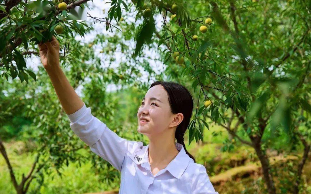 玉黛湖富硒水果采摘价格