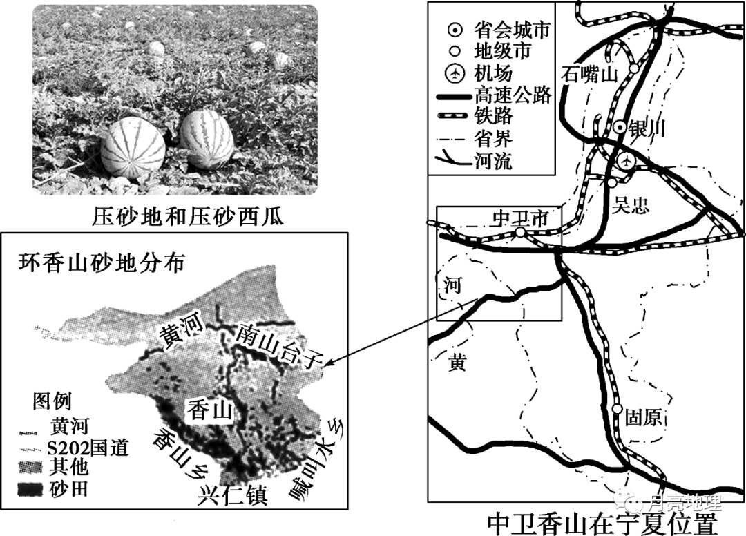 中国地理标志产品硒砂瓜