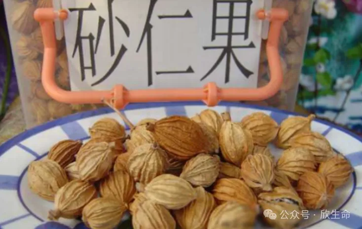 含锌硒的产品有什么危害