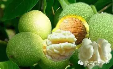 硒沙瓜是那里生产的产品