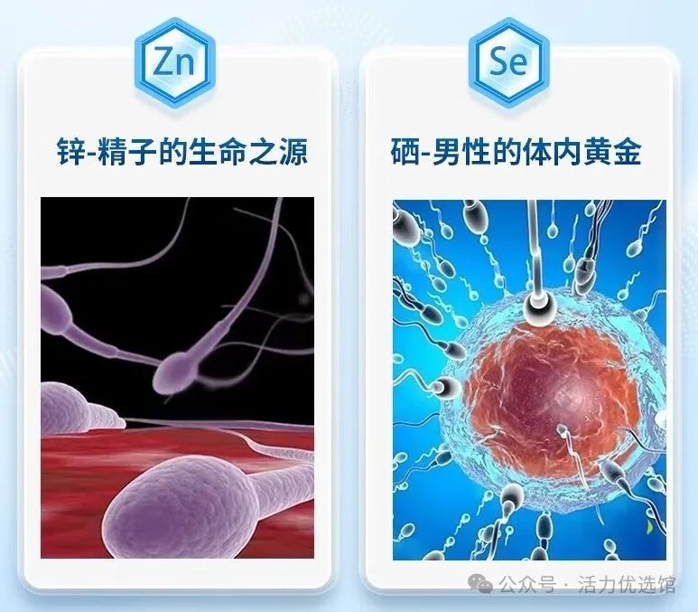 锌硒宝补锌效果真的好吗