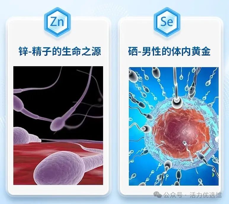 锌硒宝补锌效果真的好吗