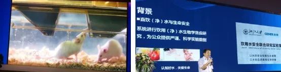 锌硒宝片有什么作用说明