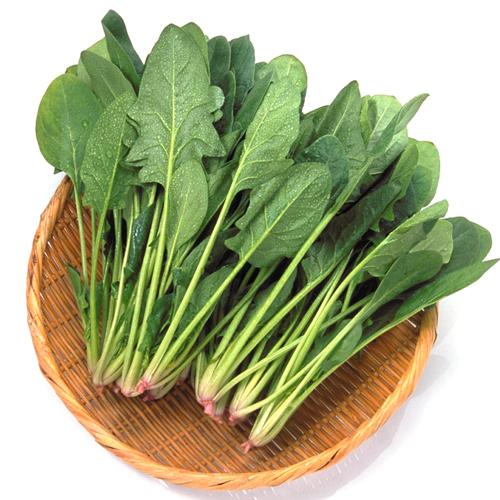 锌硒宝和番茄素哪个更好