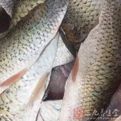 维生素e和锌硒宝哪个好