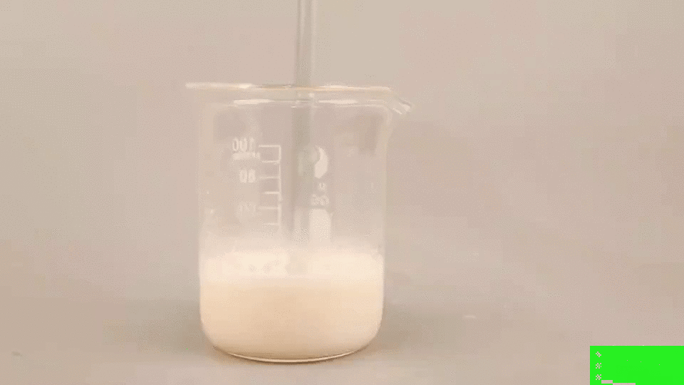 4款热门乳铁蛋白调制乳粉深度评测|哪款才是妈妈们的高