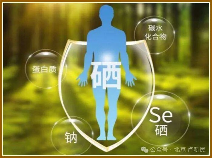 富硒食品硒含量标准