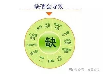 酵母硒