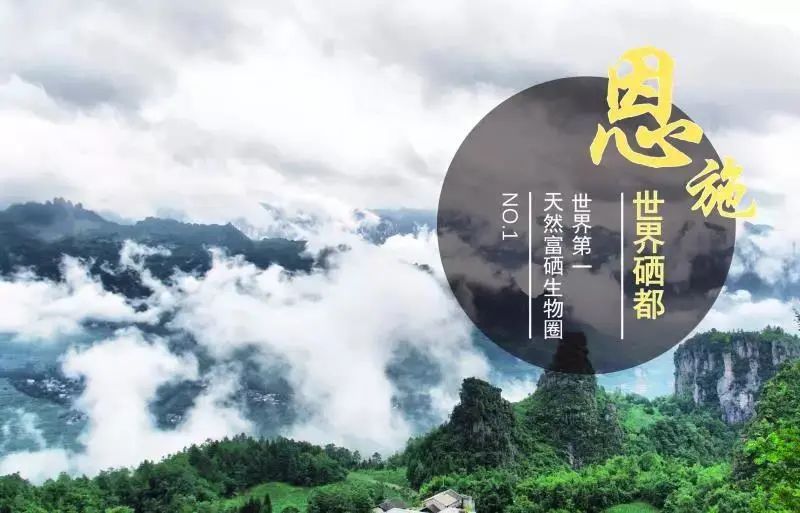 恩施富硒茶十大功效