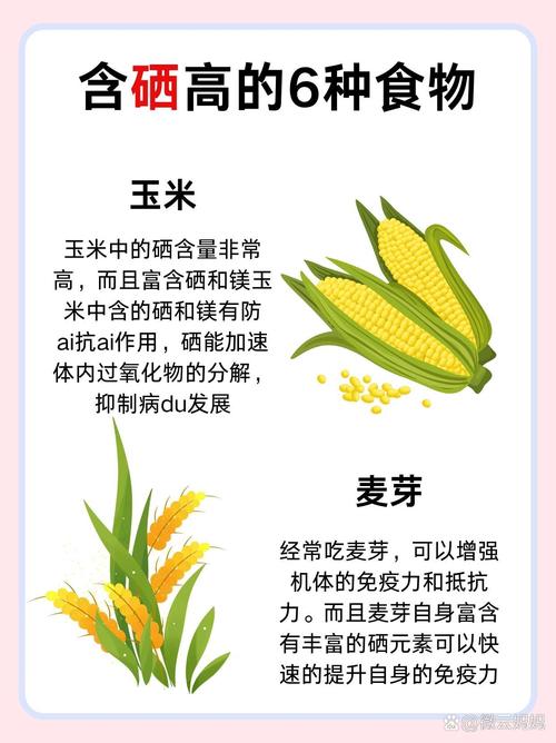 硒是什么东西