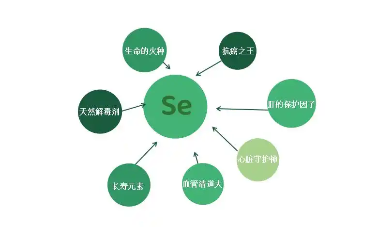 硒元素的作用