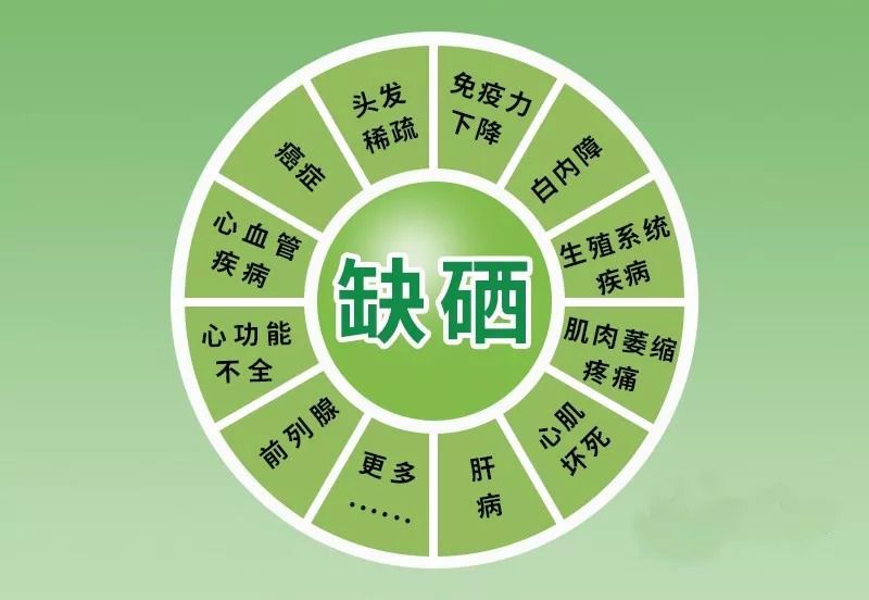 硒元素的作用与功效