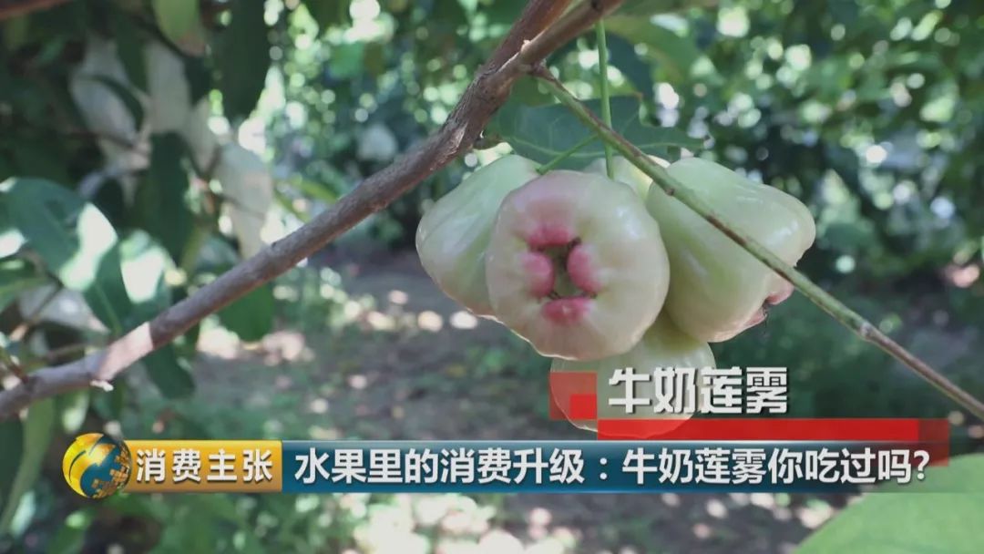 硒多少钱一盒