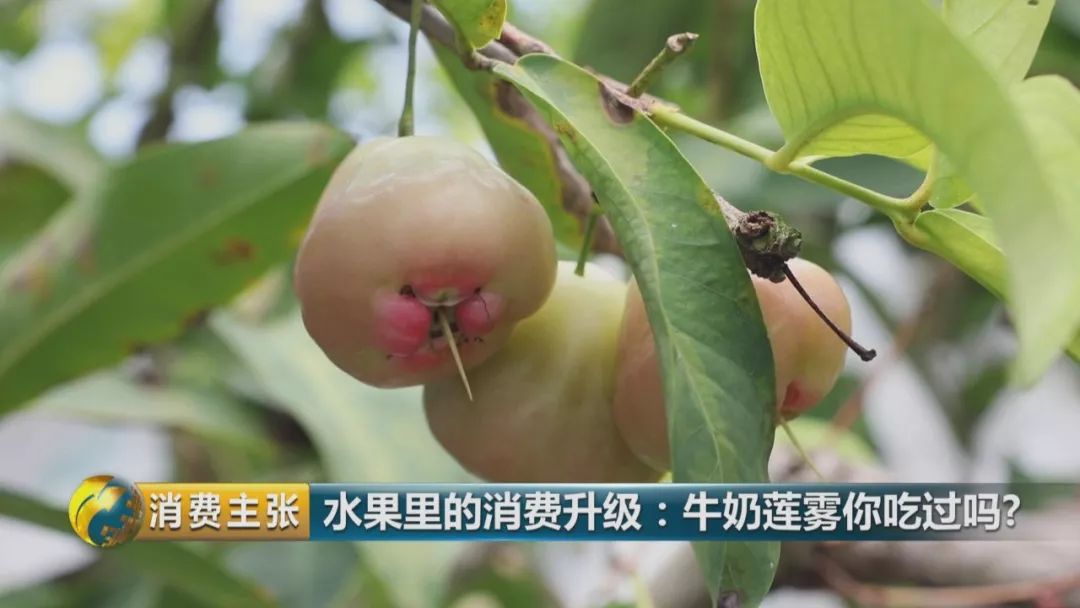 硒多少钱一盒