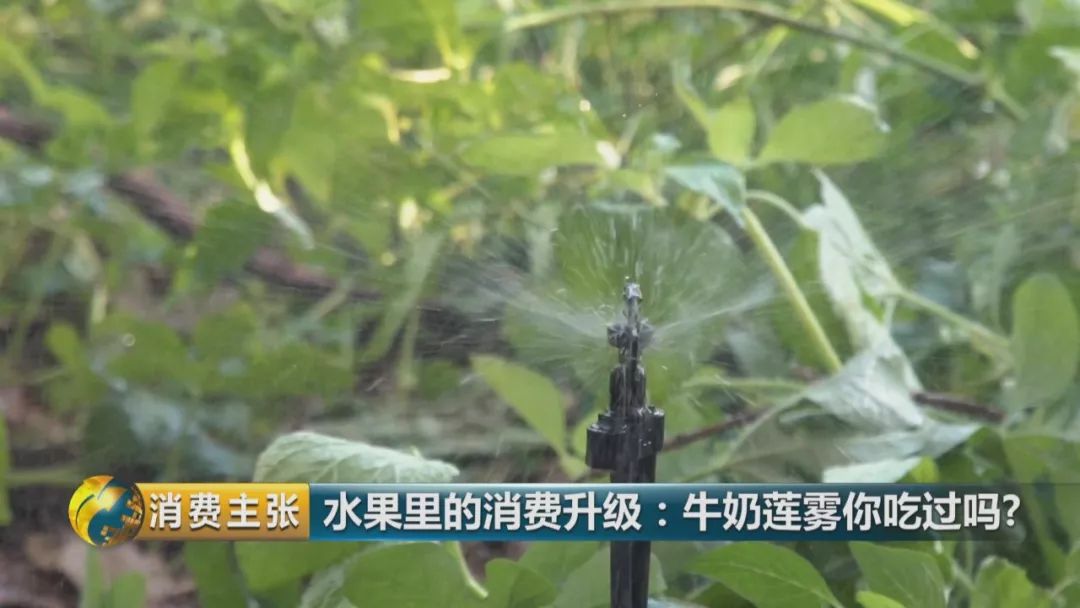 硒多少钱一盒