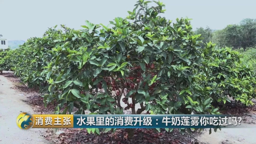 硒多少钱一盒