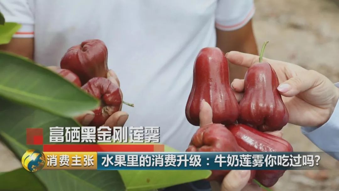 硒多少钱一盒