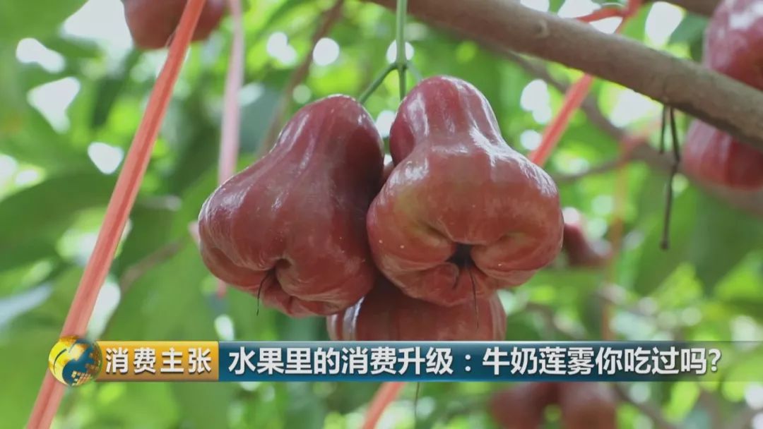 硒多少钱一盒