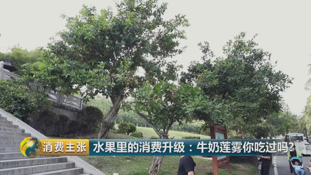 硒多少钱一盒