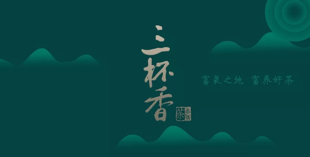 贵州凤冈锌硒茶价格表