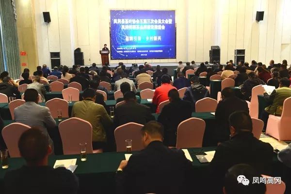 贵州凤冈锌硒茶价格表