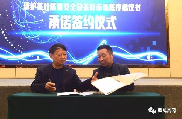 贵州凤冈锌硒茶价格表
