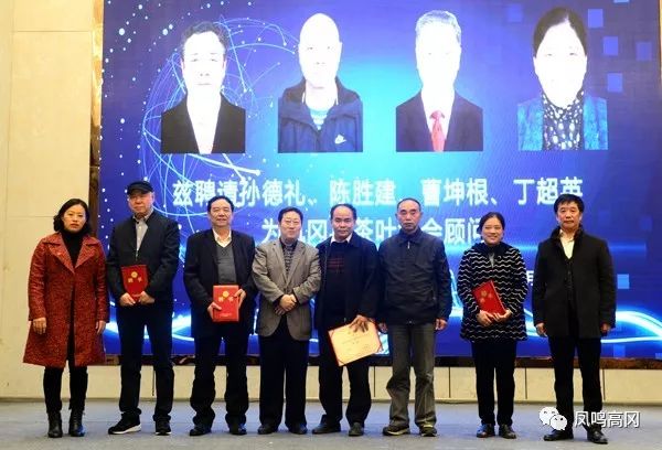 贵州凤冈锌硒茶价格表