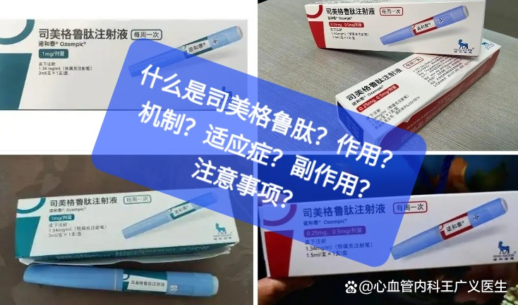 司美格鲁肽的作用机制