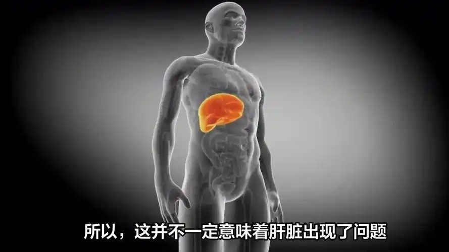 硒对肝脏的作用