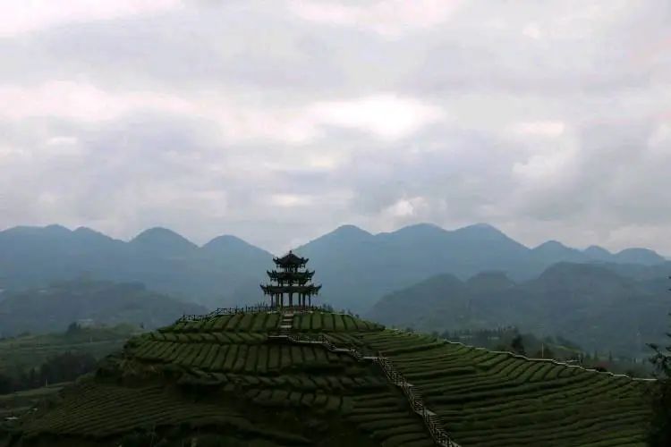 鸡蛋富硒是什么意思