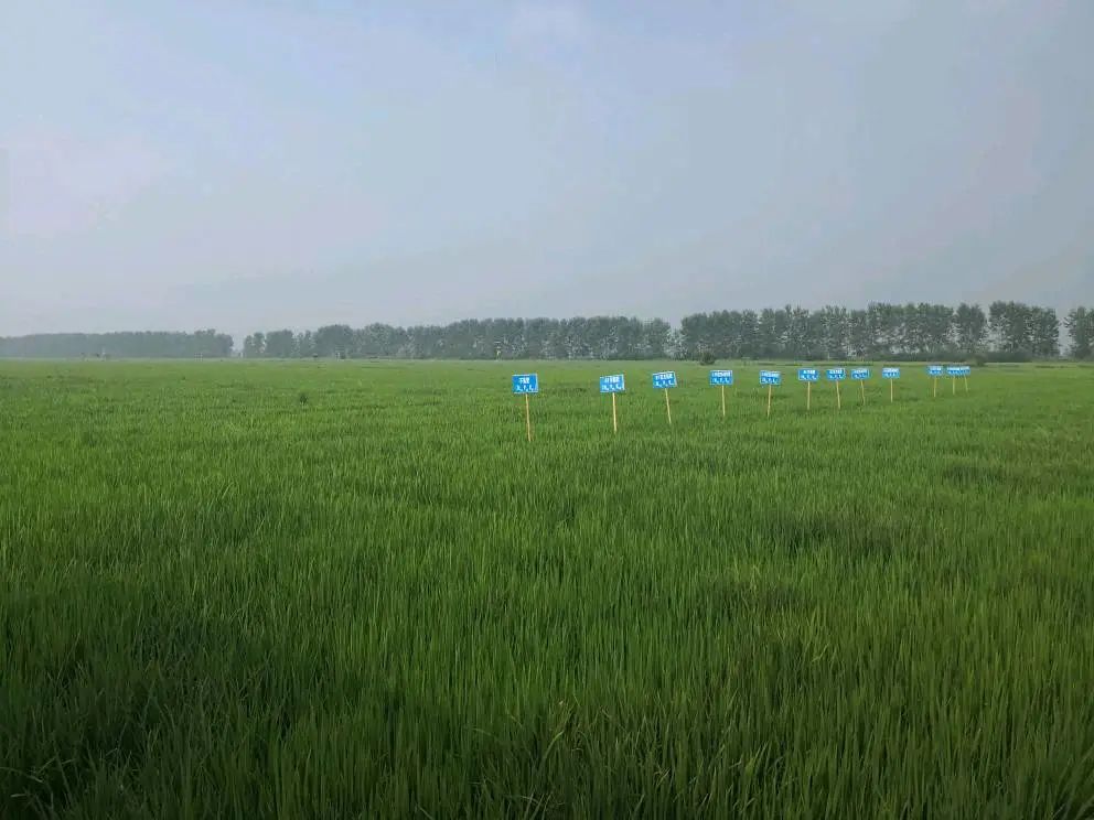 鸡蛋富硒是什么意思